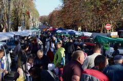 День Тбилисского района и станицы Тбилисской