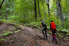Вениамин Кондратьев: В Краснодарском крае действуют почти 300 туристских маршрутов