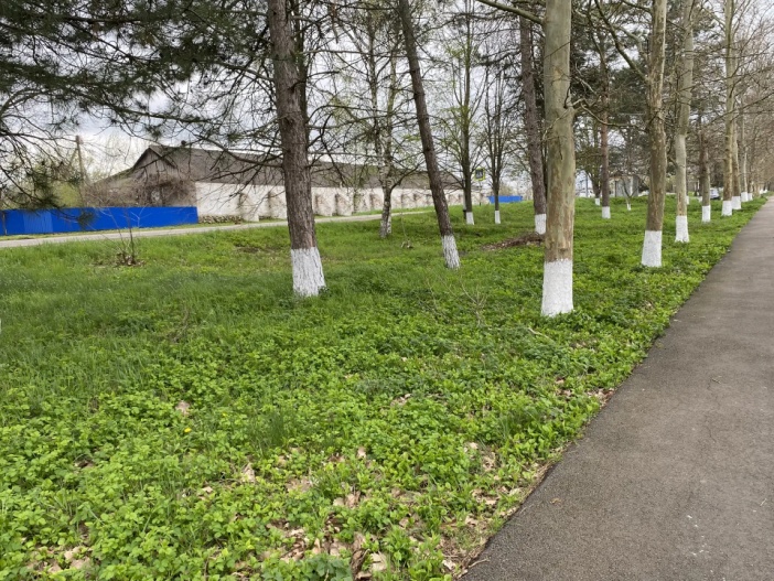 Состоялся субботник в Геймановском поселении