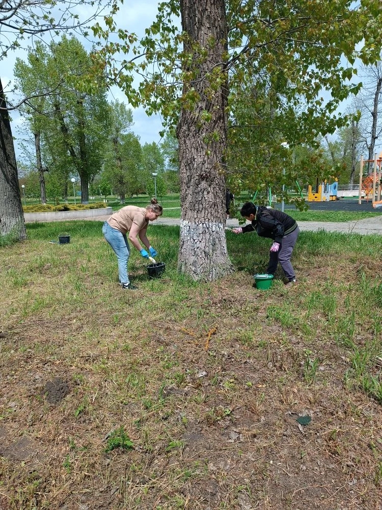 В Геймановском поселении реализуют проект «Люблю свою малую Родину» 