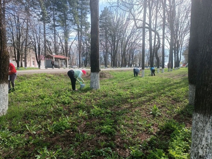 Состоялся субботник в Геймановском поселении