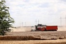Вениамин Кондратьев: В Краснодарском крае собрали 11,3 миллионов тонн зерна