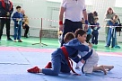 В Тбилисском районе прошел открытый турнир по джиу-джитсу