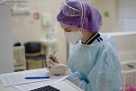 В Краснодарском крае за сутки выявили 30 случаев коронавируса